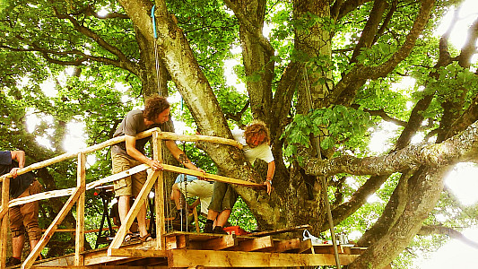 treehouse